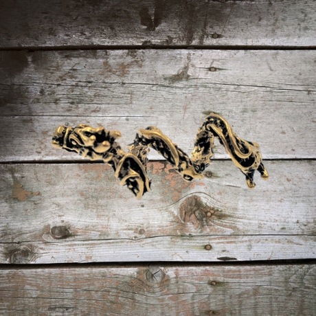 Bartperle Drache auf Holz