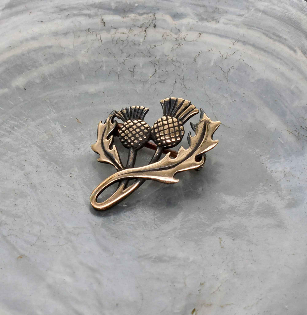 Schottische Schmuckbrosche Distel