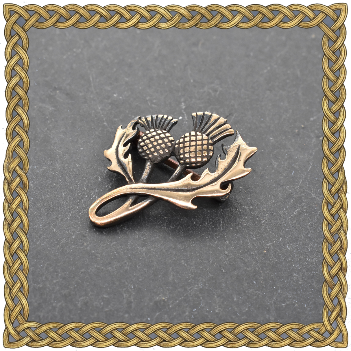 Schottische Schmuckbrosche Distel aus Bronze in einem keltischen Rahmen