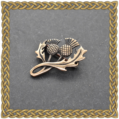 Schottische Schmuckbrosche Distel aus Bronze in einem keltischen Rahmen
