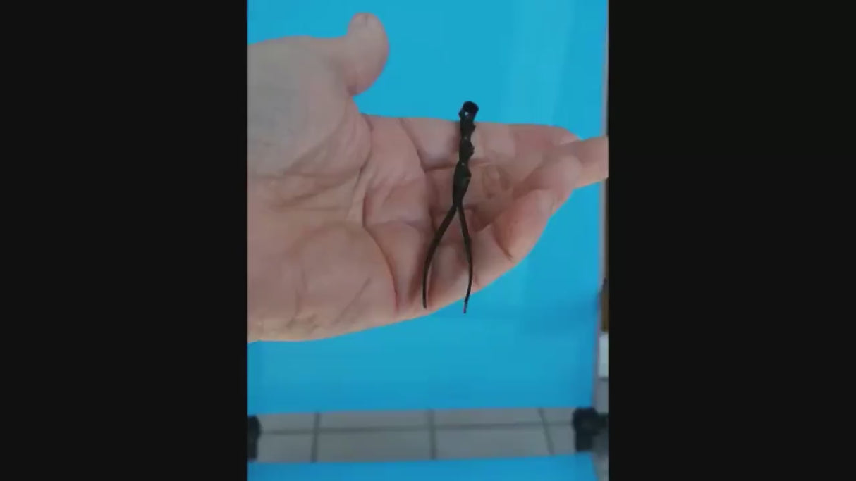 Mittelalterliche Pinzette